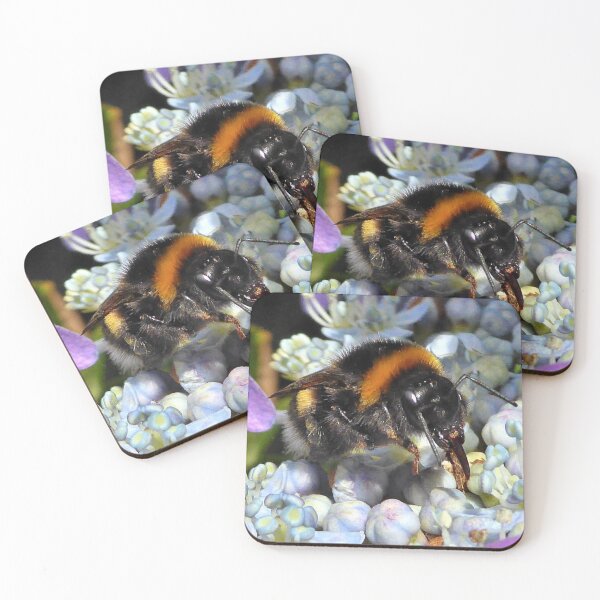 Item preview, Taking a tasteful meal designed and sold by jchanders.