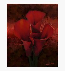 Dark Red Lilies Photographic Print