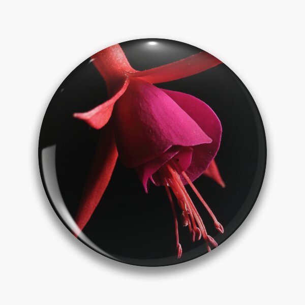 Item preview, Fuchsia perfect designed and sold by Paul Pasco.