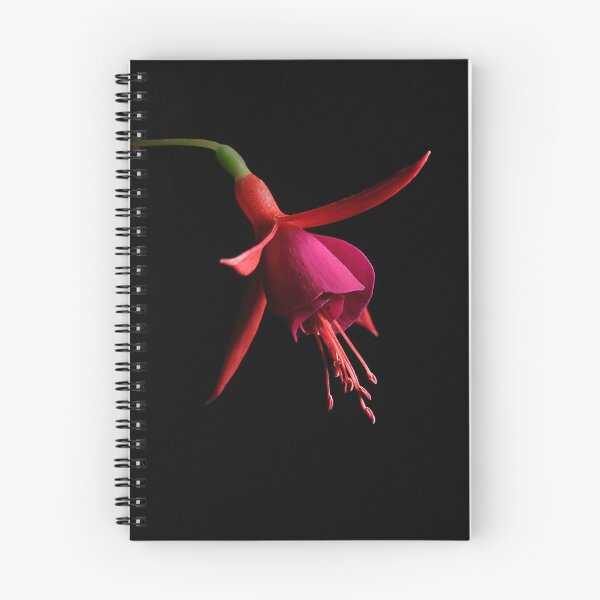 Item preview, Fuchsia perfect designed and sold by Paul Pasco.