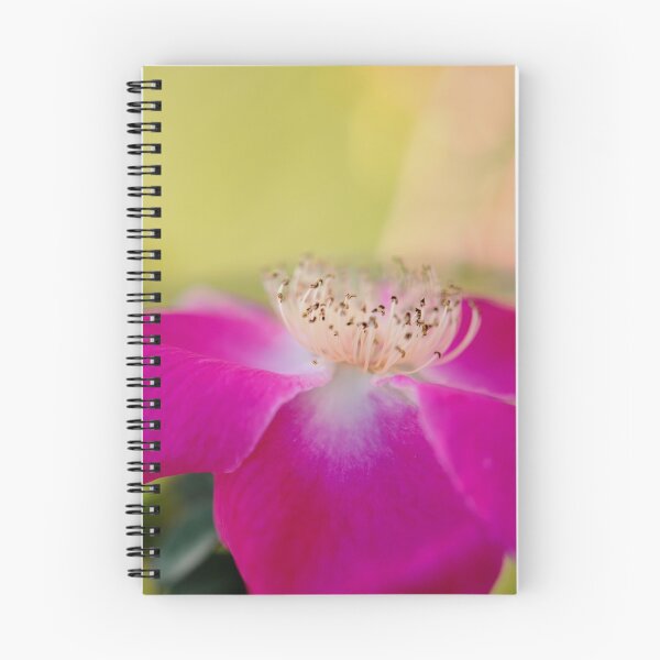 Item preview, Ramona, Red Cherokee Rose designed and sold by imaginethis.