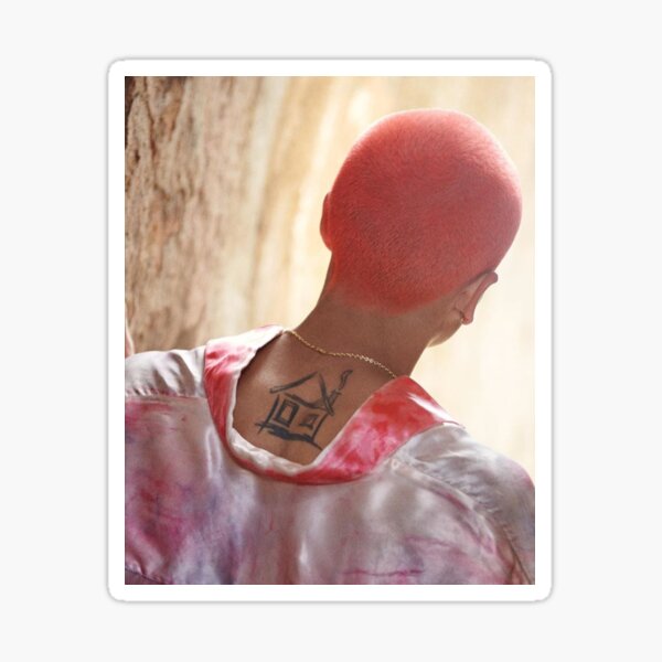 Dominic Fike aesthetic Sticker