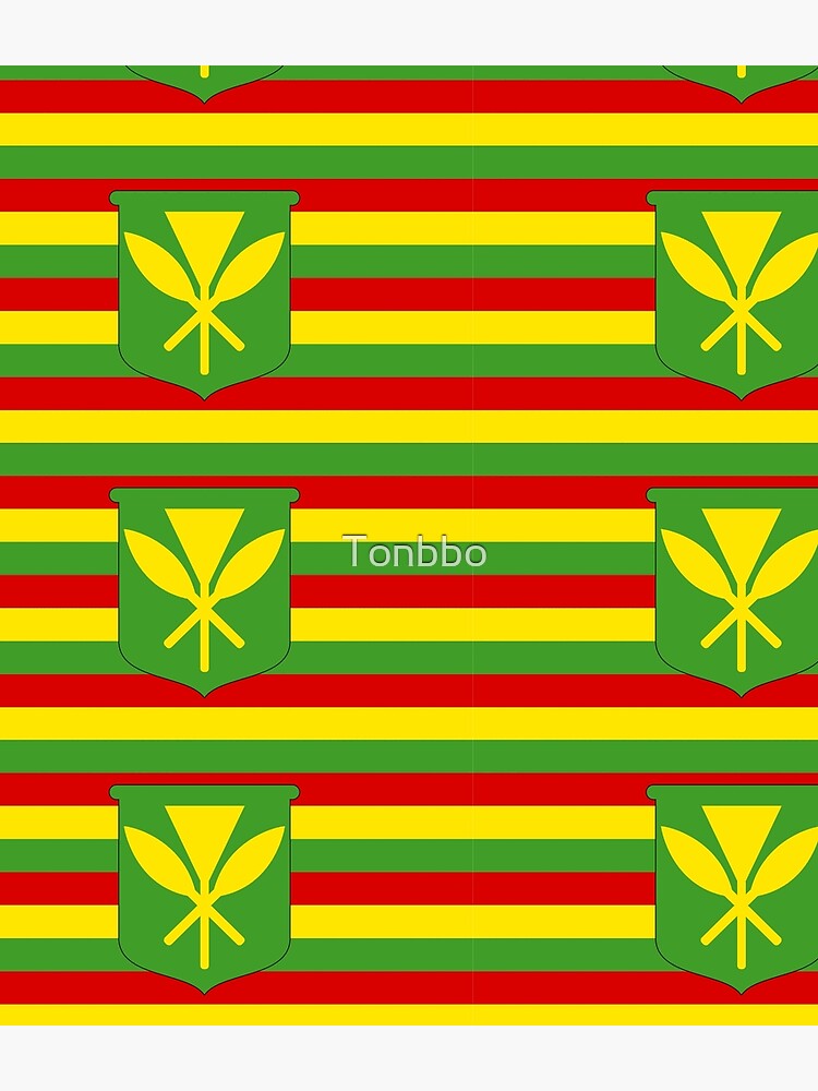 Kanaka Maoli flag by Tonbbo
