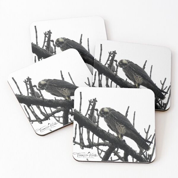 Item preview,  PEREGRINE FALCON PHOTO designed and sold by Fun&SassyHomeDecor.