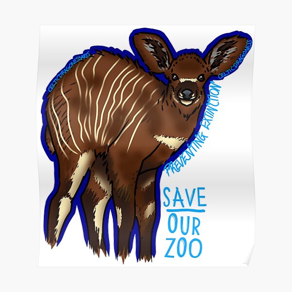 Póster « Tragelaphus eurycerus isaaci Estado de la UICN en peligro