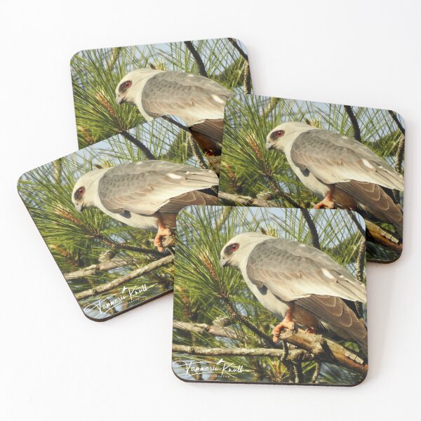 Item preview, MISSISSIPPI KITE designed and sold by Fun&SassyHomeDecor.