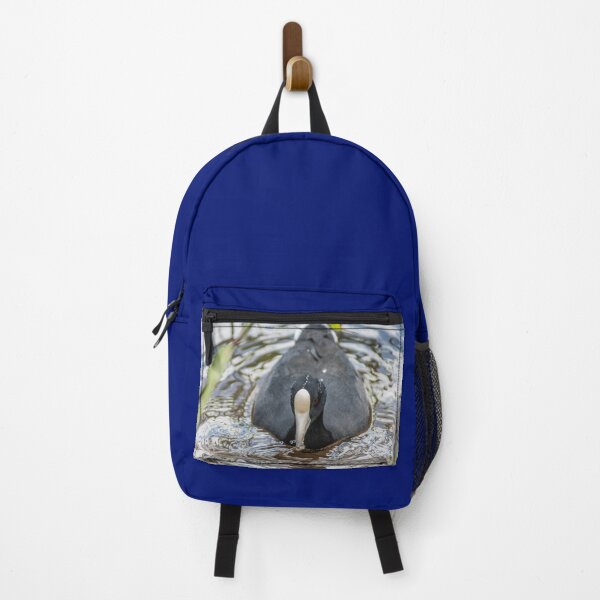Item preview, Hawaiian coot in Honolulu designed and sold by KensLensDesigns.