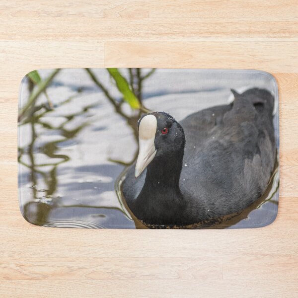 Item preview, Hawaiian coot designed and sold by KensLensDesigns.