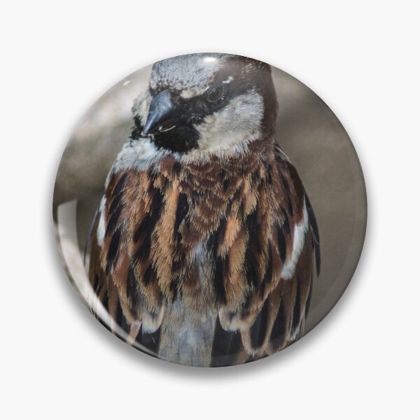 Item preview, Songbird designed and sold by KensLensDesigns.