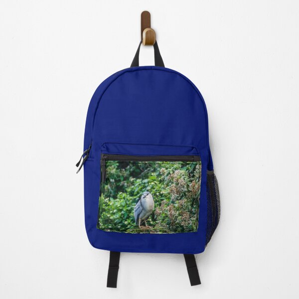 Item preview, Black-crowned night heron in Honolulu designed and sold by KensLensDesigns.