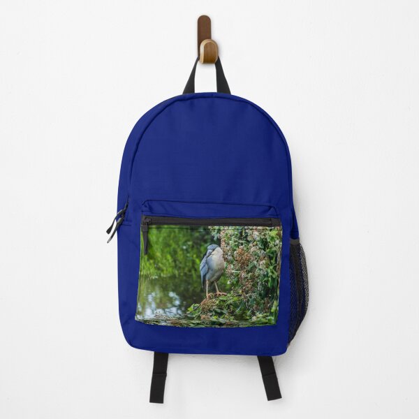 Item preview, Honolulu of black-crowned night heron designed and sold by KensLensDesigns.