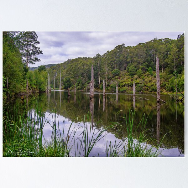 Item preview, Lake Elizabeth  designed and sold by Danielle  Miner.