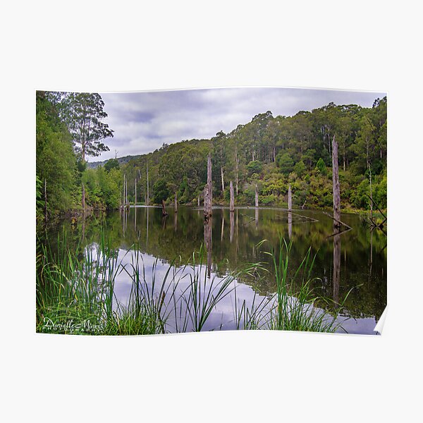 Lake Elizabeth Poster