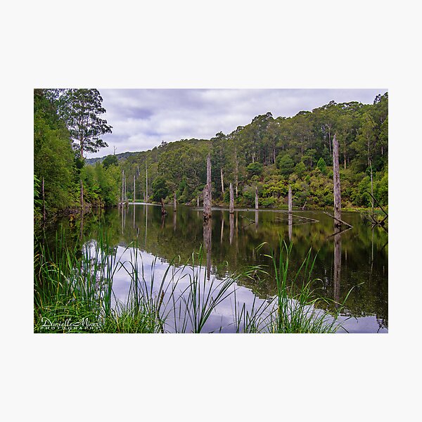 Lake Elizabeth Photographic Print