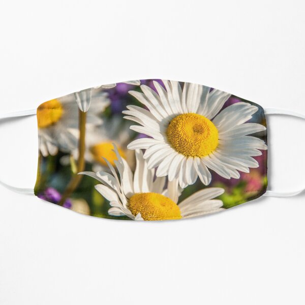 Champs de marguerites Masque sans plis