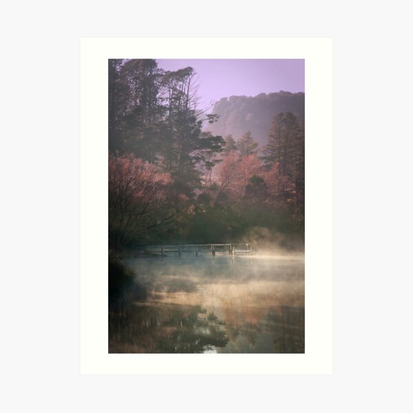 Daylesford Lake - Early Mist Art Print