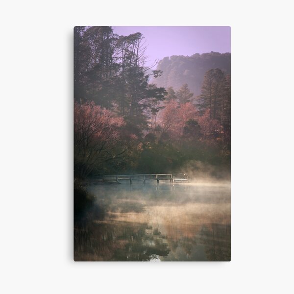 Daylesford Lake - Early Mist Canvas Print