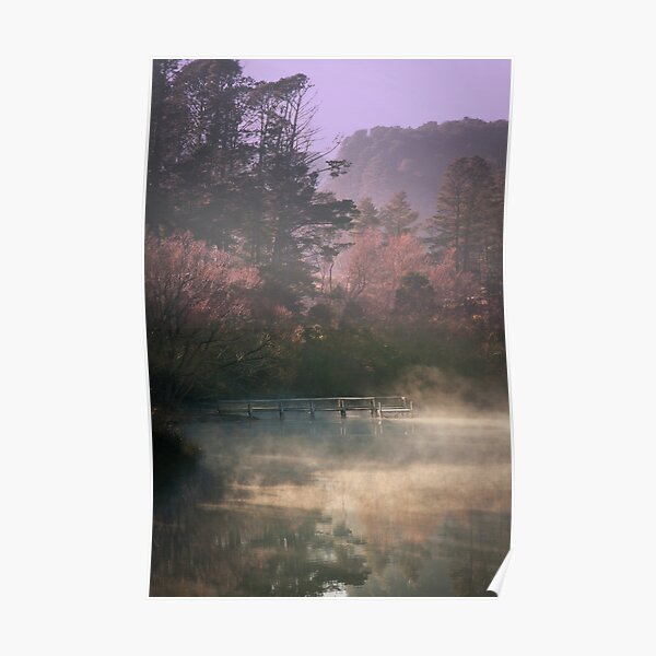 Daylesford Lake - Early Mist Poster
