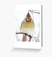 What's This?!!! More Flakes?!!! Where's Spring?!!! Greeting Card