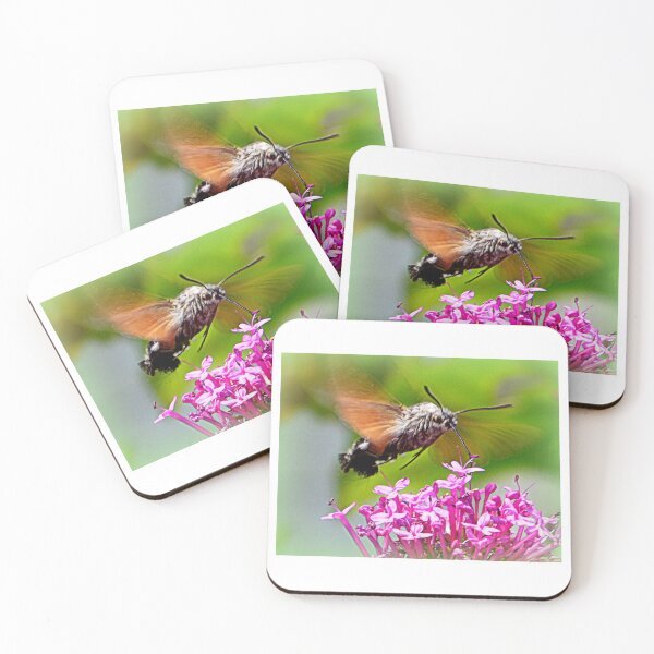 Item preview, Hummingbird hawk moth designed and sold by angel1.