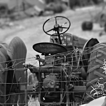 Artwork thumbnail, "Fenced In" by Gail Jones