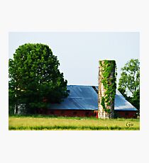 " A Viney Tower " Photographic Print