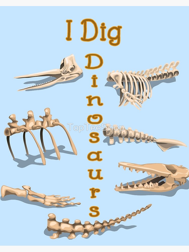 Lámina rígida « fósiles o huesos? Tipos de dinosaurios desde T-Rex hasta  Brachiosaurus. ¿Conoces todos los nombres de dinosaurios? Jugar juegos de  dinosaurios» de TopTeeShop | Redbubble