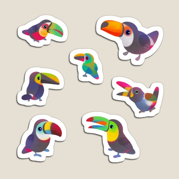 Toucan Magnet