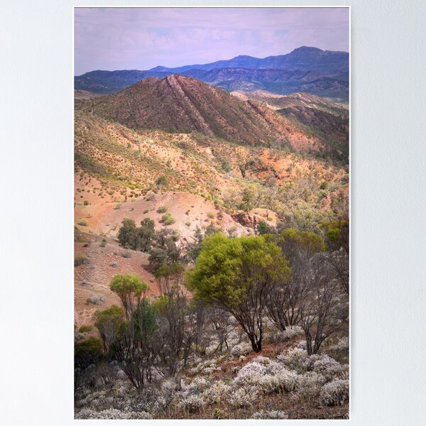 Item preview, Flinders Ranges designed and sold by pbclarke.