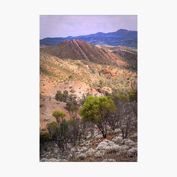 Item preview, Flinders Ranges designed and sold by pbclarke.