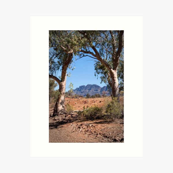 Item preview, Flinders Ranges designed and sold by pbclarke.