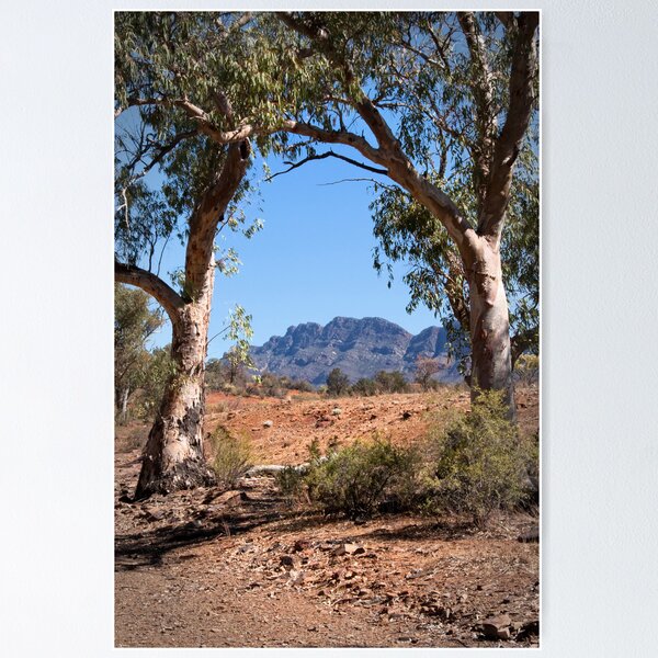Item preview, Flinders Ranges designed and sold by pbclarke.
