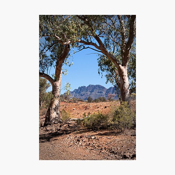 Item preview, Flinders Ranges designed and sold by pbclarke.