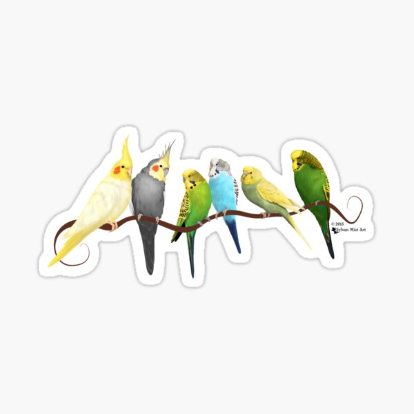 Small parrots Sticker