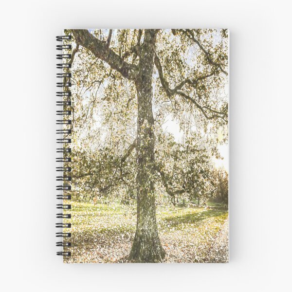 Item preview, Greenwich Park London Art designed and sold by Londonimages.