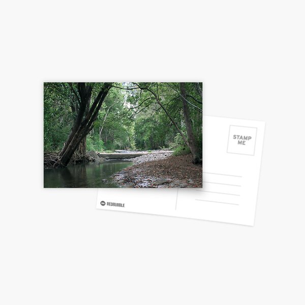 Tyalgum Creek Crossing ... Postcard