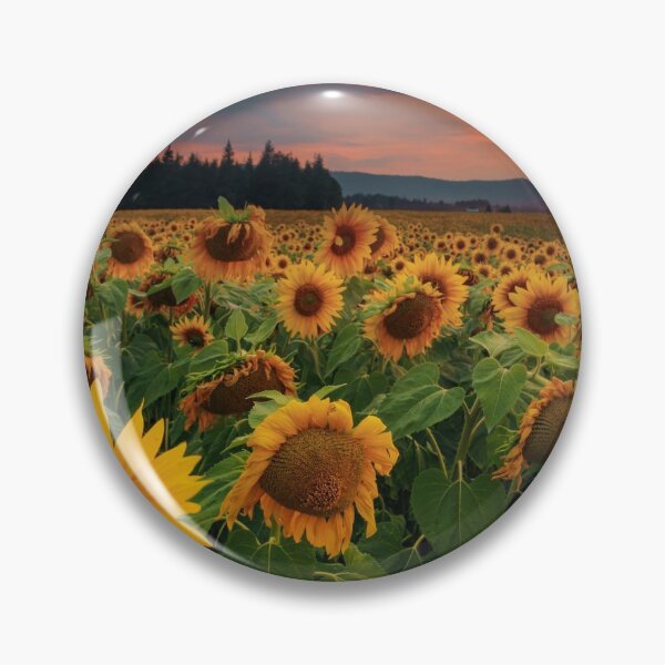 Item preview, Beautiful summer sunset sunflower field designed and sold by Noahlaz.