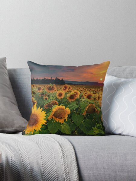 Item preview, Beautiful summer sunset sunflower field designed and sold by Noahlaz.