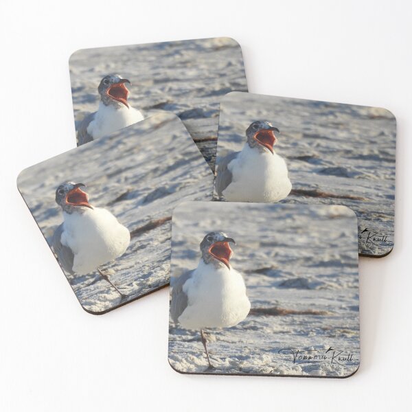 Item preview, LAUGHING GULL  designed and sold by Fun&SassyHomeDecor.