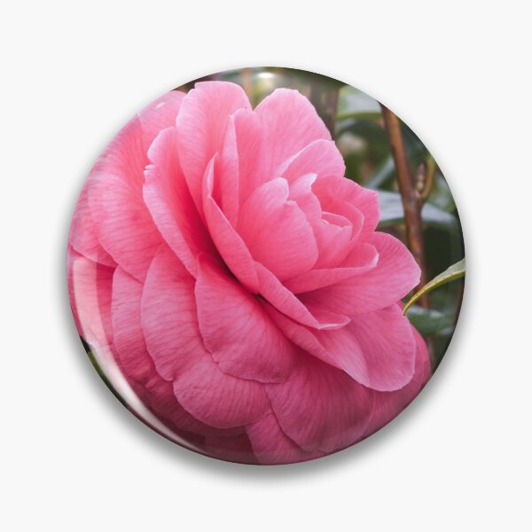 Item preview, Pink rose on a  bush with green leaves  designed and sold by AlexLyubar.