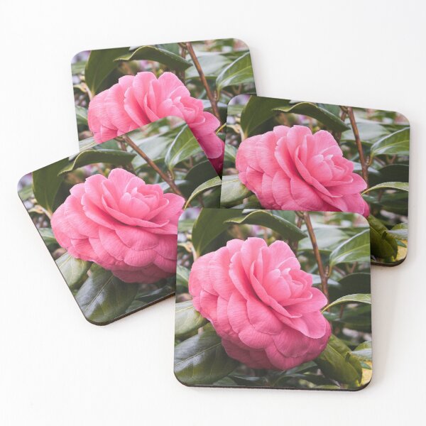 Item preview, Pink rose on a  bush with green leaves  designed and sold by AlexLyubar.