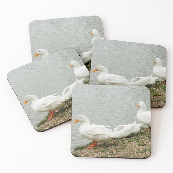 Item preview, A Trio of White Domestic Duck Crosses designed and sold by Inuyasha907.