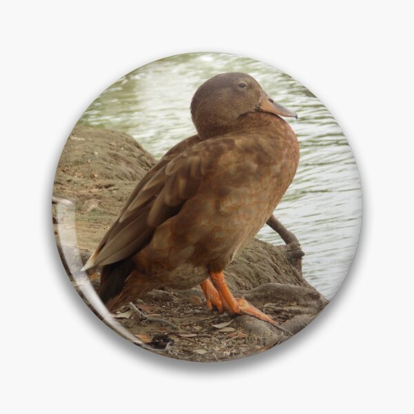 Item preview, Brown Domestic Duck Cross  designed and sold by Inuyasha907.