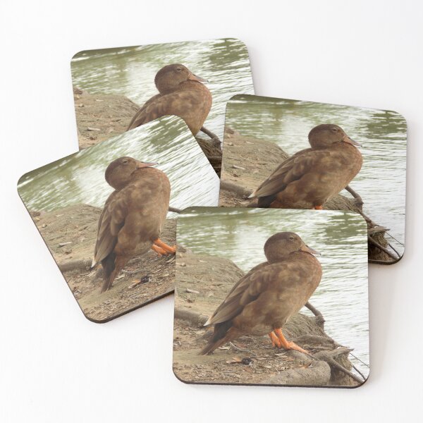 Item preview, Brown Domestic Duck Cross  designed and sold by Inuyasha907.