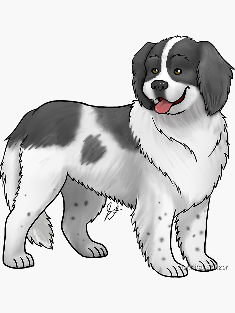 Landseer Newfoundland by jameson9101322