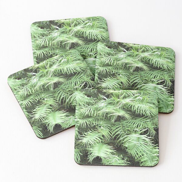Item preview, Ancient Wollemi Pine - Wollemia Nobilis designed and sold by GoNatureDesigns.