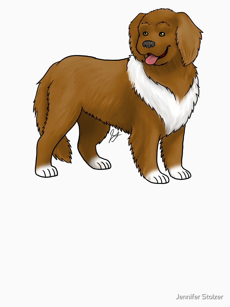 Newfoundland - Brown by jameson9101322