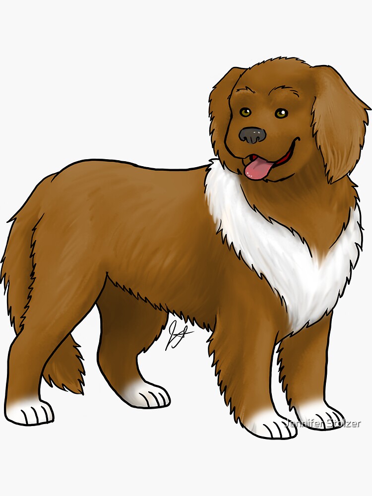 Newfoundland - Brown by jameson9101322