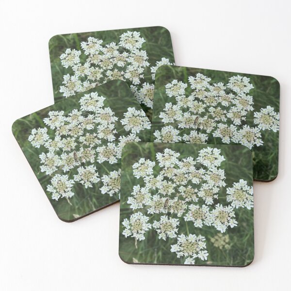 Item preview, Wild flower designed and sold by Coolprints1.