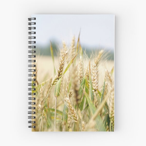 Item preview, ARABLE BARLEY FIELD designed and sold by Eston Kamau.